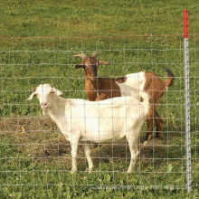 Grassland Fence/Garden Fence/Hange Joint Fence